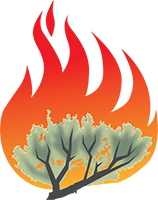FireWorks-SageBrush