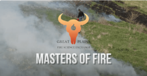 Master of Fire
